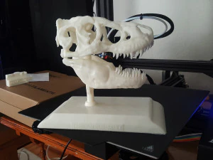 tarbosaurus skull 3d printable model 3D Print Model