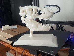 tarbosaurus skull 3d printable model 3D-printmodel