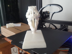 tarbosaurus skull 3d printable model 3D-printmodel