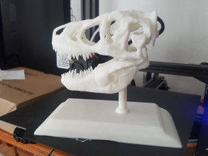 tarbosaurus skull 3d printable model 3D-printmodel