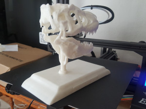 tarbosaurus skull 3d printable model 3D-printmodel