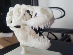 tarbosaurus skull 3d printable model 3D-printmodel