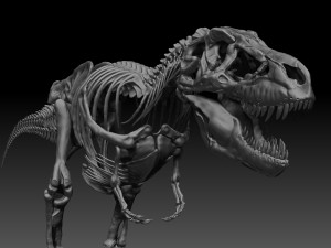 sub tyrannosaurus rex full skeletons - subrex sculpt 3D Model