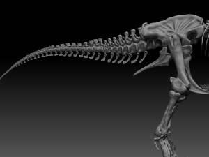 sub tyrannosaurus rex full skeletons - subrex sculpt 3D Model