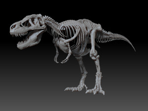sub tyrannosaurus rex full skeletons - subrex sculpt 3D Model