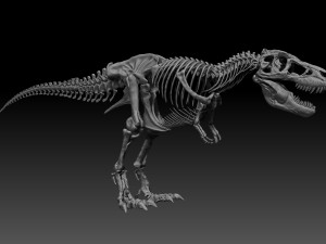 sub tyrannosaurus rex full skeletons - subrex sculpt 3D Model