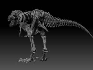 sub tyrannosaurus rex full skeletons - subrex sculpt 3D Model