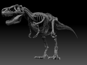 sub tyrannosaurus rex full skeletons - subrex sculpt 3D Model