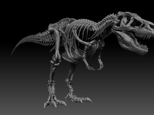 sub tyrannosaurus rex full skeletons - subrex sculpt 3D Model