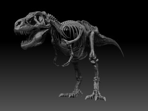 sub tyrannosaurus rex full skeletons - subrex sculpt 3D Model