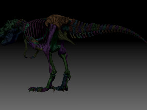 sub tyrannosaurus rex full skeletons - subrex sculpt 3D Model