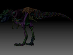sub tyrannosaurus rex full skeletons - subrex sculpt 3D Model
