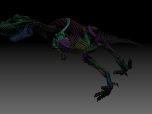 sub tyrannosaurus rex full skeletons - subrex sculpt 3D Model
