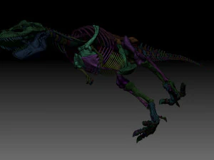 sub tyrannosaurus rex full skeletons - subrex sculpt 3D Model