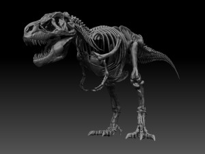 sub tyrannosaurus rex full skeletons - subrex sculpt 3D Model