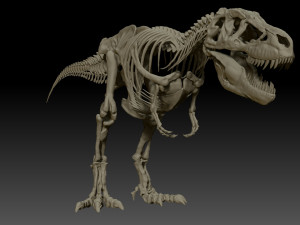 sub tyrannosaurus rex full skeletons - subrex sculpt 3D Model
