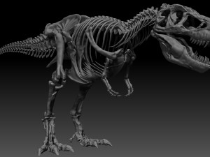 sub tyrannosaurus rex full skeletons - subrex sculpt 3D Model