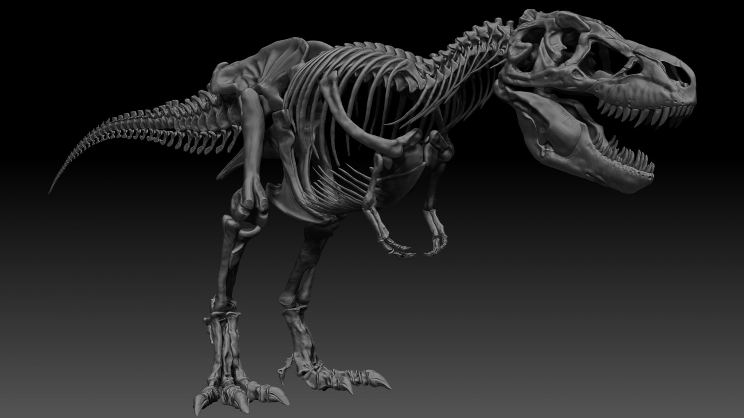 Dinosaur T-Rex. Cartoon Image As A Skeleton And Flesh. Royalty