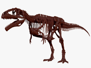 giganotosaururs full skeletons sculpt project Modelo 3D