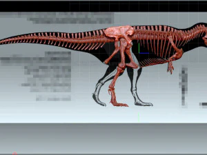 giganotosaururs full skeletons sculpt project 3D Model