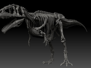 giganotosaururs full skeletons sculpt project Modelo 3D