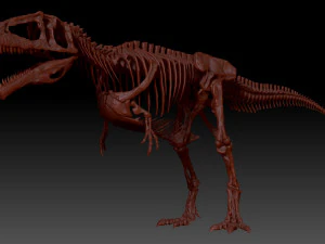 giganotosaururs full skeletons sculpt project 3D Model