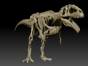 giganotosaururs full skeletons sculpt project Modelo 3D