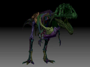 giganotosaururs full skeletons sculpt project 3D Model