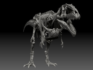 giganotosaururs full skeletons sculpt project Modelo 3D