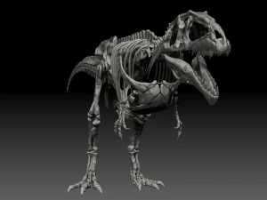 giganotosaururs full skeletons sculpt project 3D Model