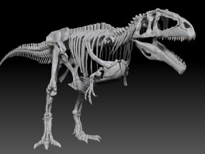 giganotosaururs full skeletons sculpt project Modelo 3D