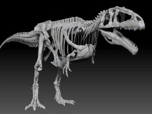 giganotosaururs full skeletons sculpt project 3D Model