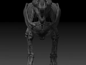 esqueletos completos de tiranossauro rex adulto - trex adulto sue Modelo 3D