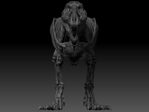 adult tyrannosaurus rex complete skeletons - trex adult sue Model 3D