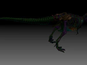 esqueletos completos de tiranossauro rex adulto - trex adulto sue Modelo 3D