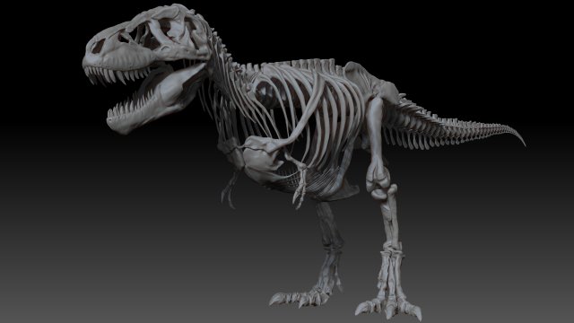 adult tyrannosaurus rex complete skeletons - trex adult sue Model 3D .c4d .max .obj .3ds .fbx .stl .blend 