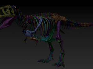 adult tyrannosaurus rex complete skeletons - trex adult sue Model 3D