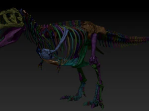 esqueletos completos de tiranossauro rex adulto - trex adulto sue Modelo 3D
