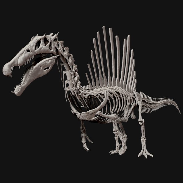 spinosaurus full skeleton sculpt model 3D Model .c4d .max .obj .3ds .fbx .stl .blend 
