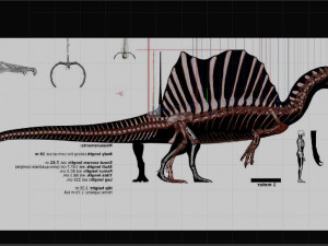 spinosaurus full skeleton sculpt model 3D Model
