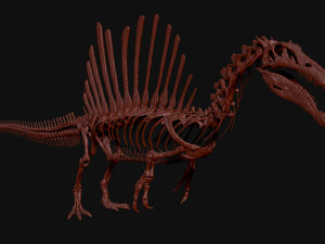 spinosaurus full skeleton sculpt model 3D Model