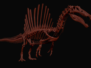 spinosaurus full skeleton sculpt model 3D Model
