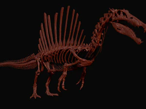 spinosaurus full skeleton sculpt model 3D Model