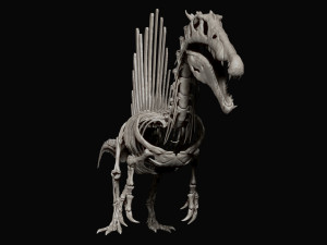 spinosaurus full skeleton sculpt model 3D Model