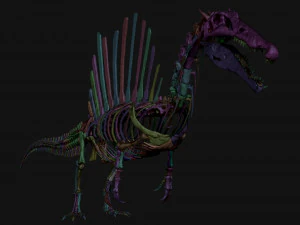 spinosaurus full skeleton sculpt model 3D Model