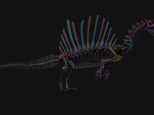 spinosaurus full skeleton sculpt model 3D Model