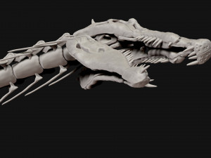 spinosaurus full skeleton sculpt model 3D Model