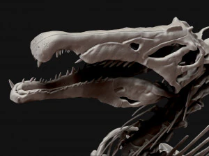 spinosaurus full skeleton sculpt model 3D Model