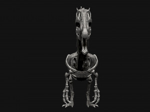 spinosaurus full skeleton sculpt model 3D Model