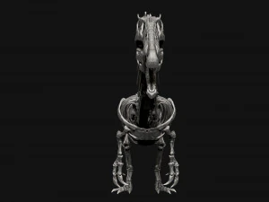 spinosaurus full skeleton sculpt model 3D Model